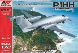 Scale model  P1.HH Hammerhead (Demo) UAV