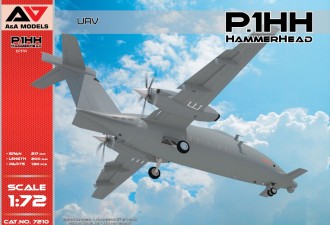 Scale model  P.1HH HammerHead UAV (2nd flying prototype)
