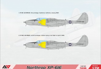 Макети  XP-61E experim.fighter