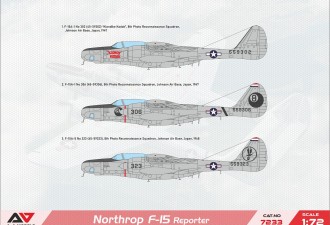 Scale model  Northrop F-15A "Reporter" recon.aircraft