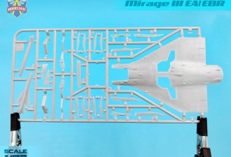 Scale model  Mirage IIIEA/EBR