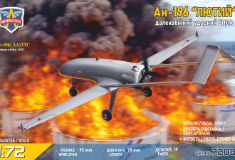 Scale model  An-196 "Liutyi" deep-strike UAV (1/72)