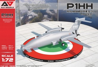 Scale model  P1.HH Hammerhead (Concept) UAV