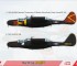 Scale model P-61C "Black widow"(Thunderstorm project)