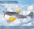 Scale model P-51H Mustang (USAF edition)